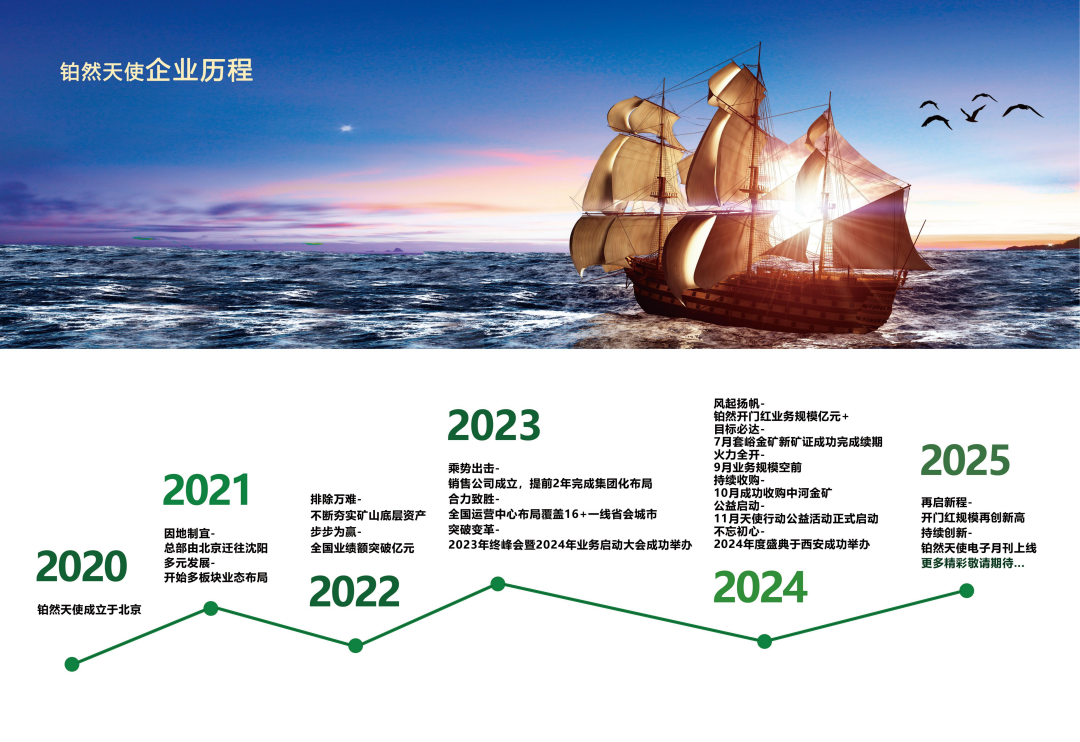 发展历程(图1)