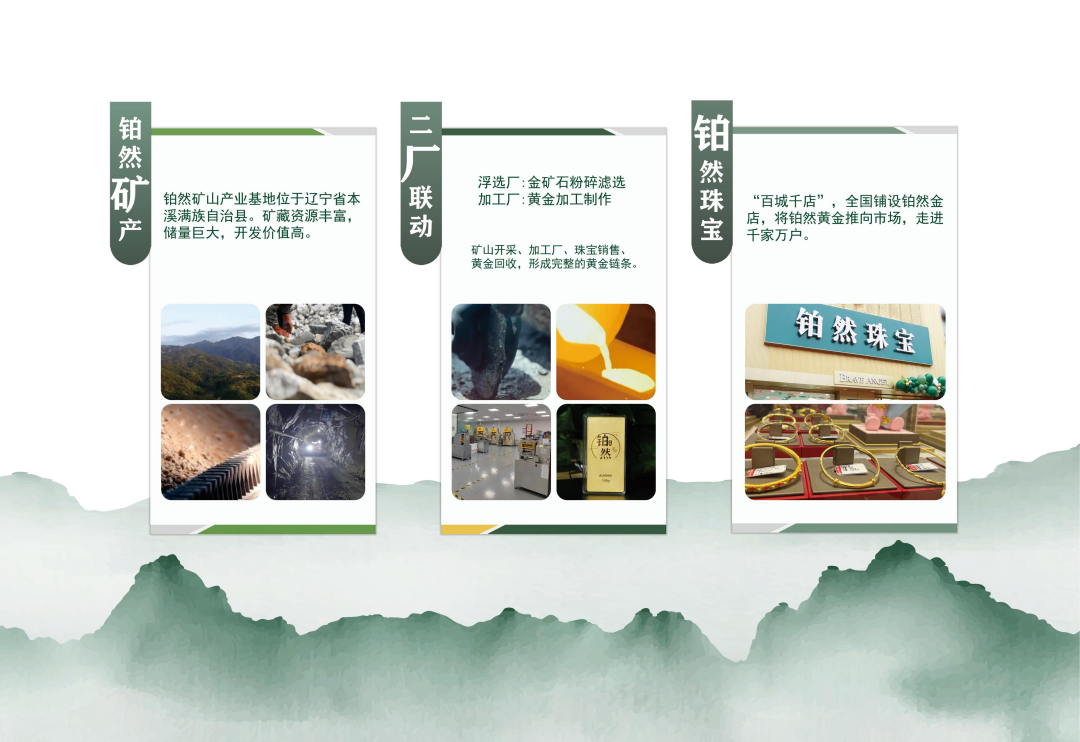 实力资质(图3)