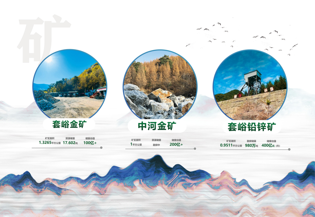 实力资质(图4)