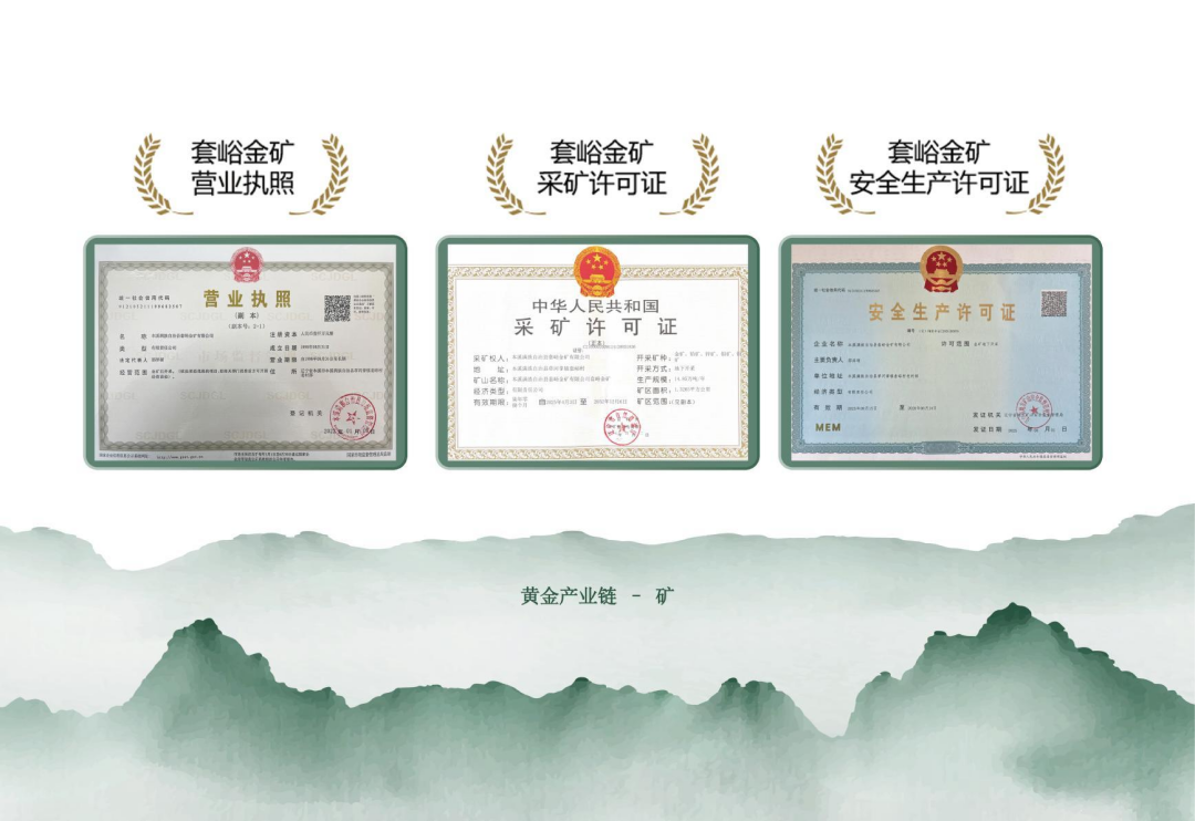 实力资质(图5)