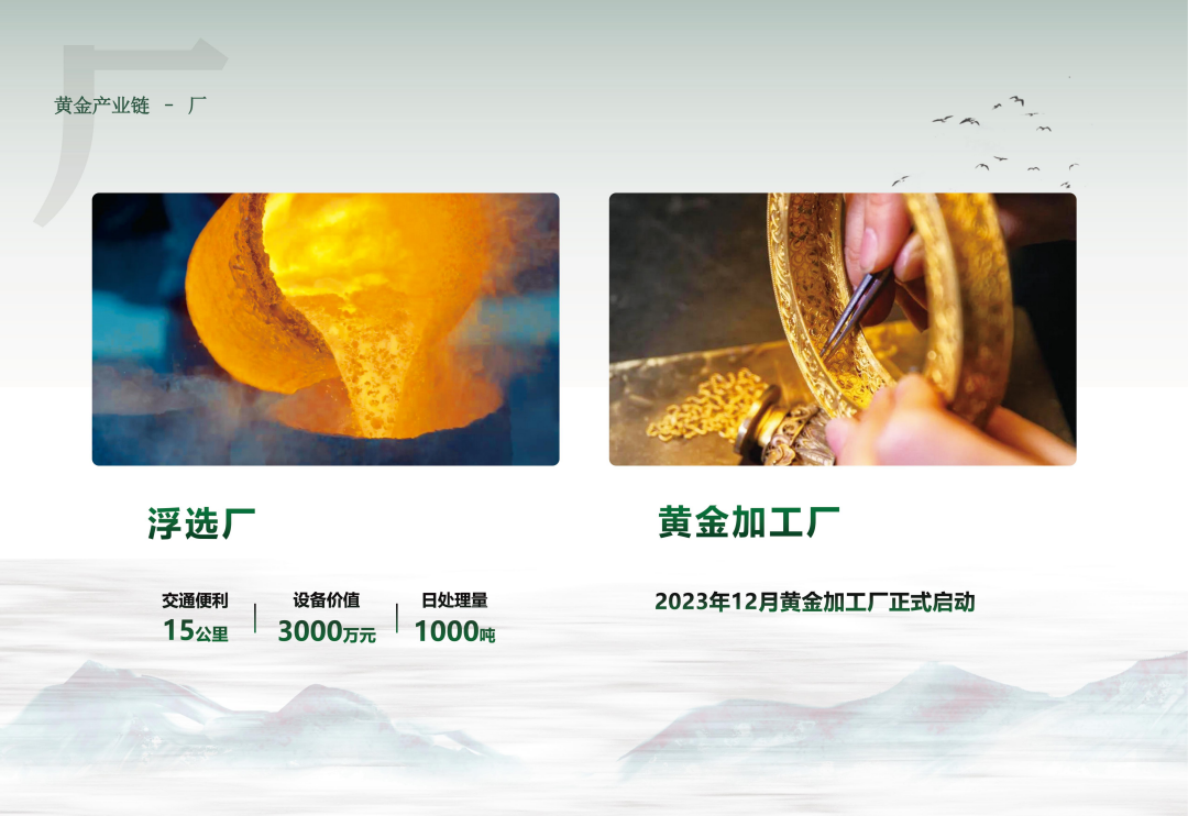 实力资质(图6)