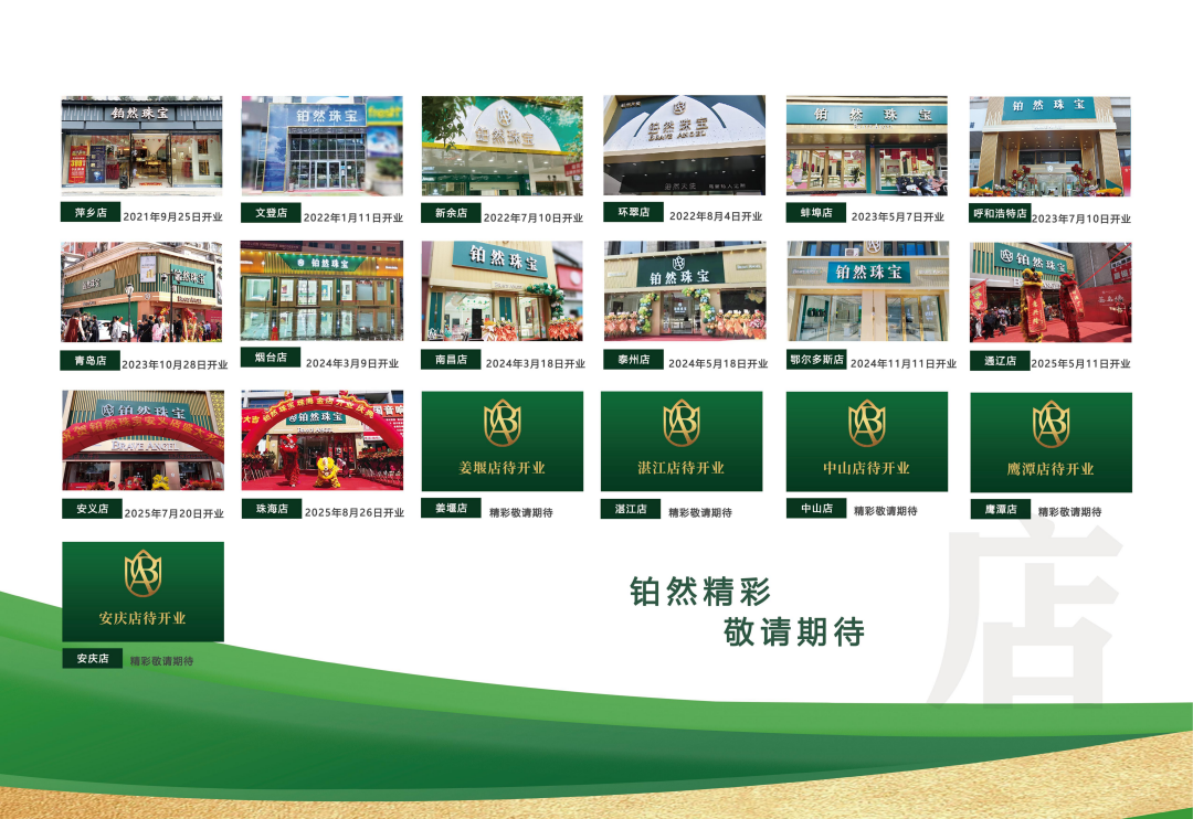 实力资质(图7)